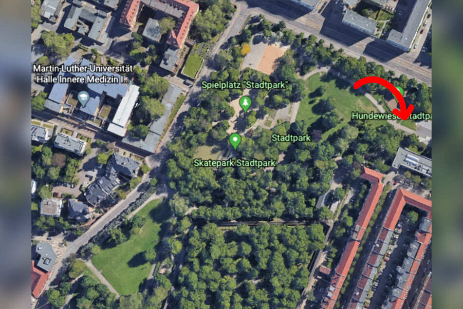 Mehrere Teenager überfallen Frau im Park: Polizei sucht nach Zeugen