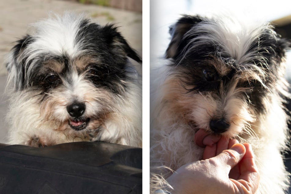 ... und zwar zusammen mit Gisi.