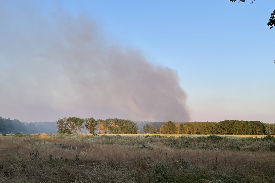 Der Regen lässt die Waldbrandgefahr etwas sinken.
