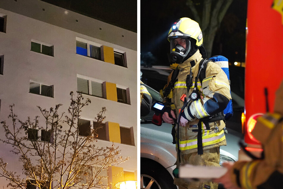 Berlin: Frau bei Wohnungsbrand schwer verletzt, zwei Katzen gestorben