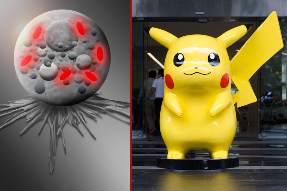 Forscher haben eine neue Bakterien-Gattung entdeckt und die winzigen Organismen "Pokemonas" getauft. (Fotomontage)