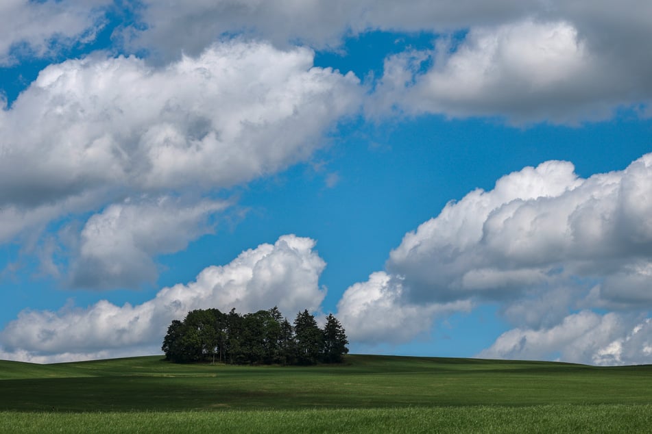 Am Wochenende ziehen immer wieder Wolken auf, es bleibt aber zum größten Teil trocken.