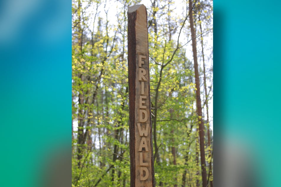 Alternativen zum Friedhof, wie der Friedwald, werden immer attraktiver.