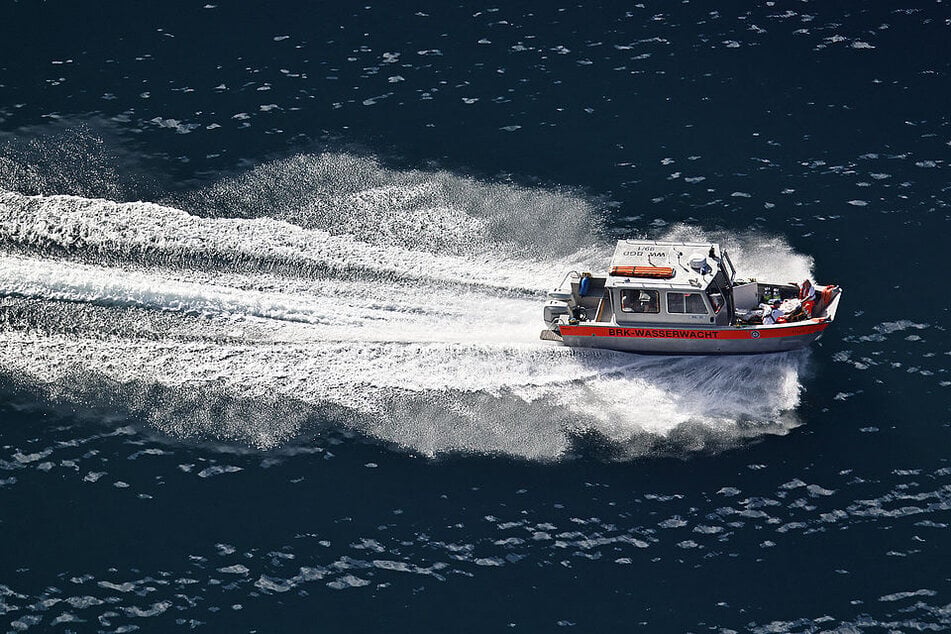 Die Rettungskräfte konnten das Tier nur noch tot bergen. (Symbolbild)