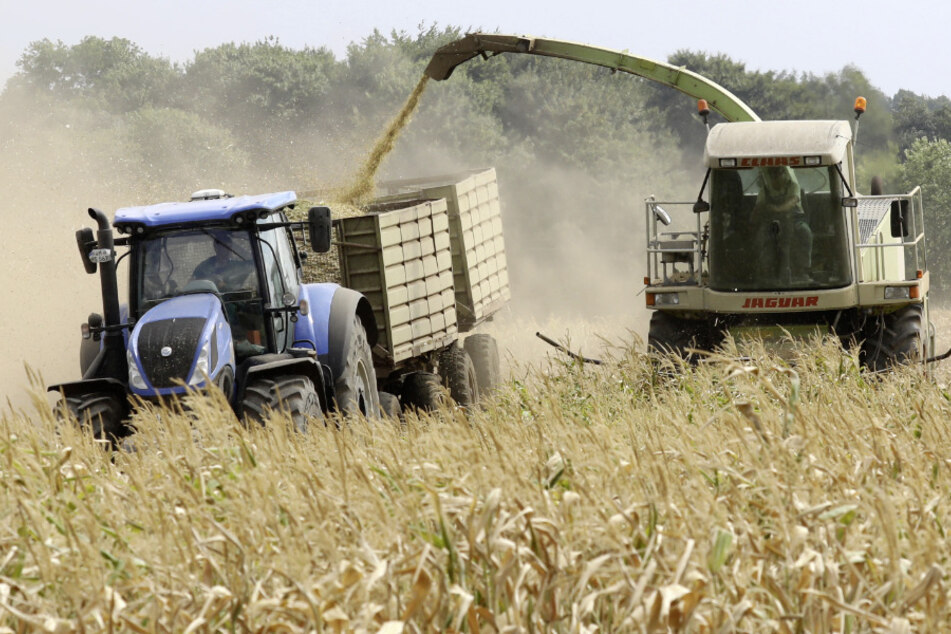 Mecklenburg-Vorpommern, Ventschow: Bauern bei der Arbeit. (Archivbild)