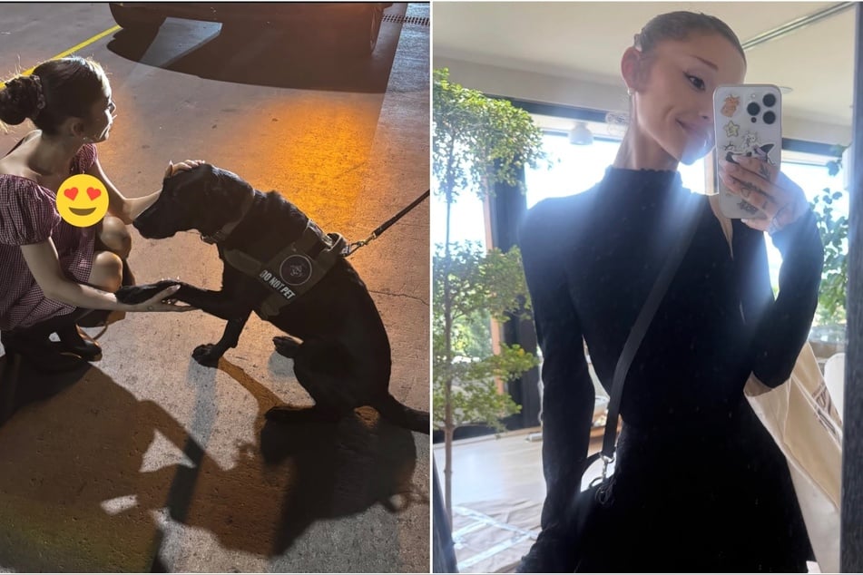 Ariana Grande sent fans into a frenzy after sharing an image that featured a clear view of her nipples on Instagram.