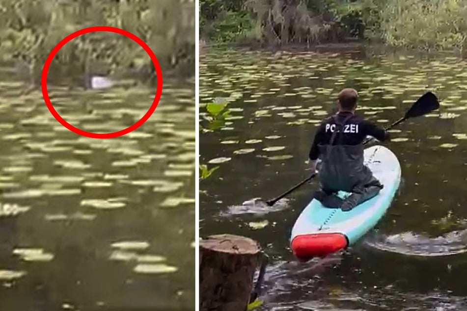Unbekanntes Objekt treibt im Teich: Mutiger Paddel-Polizist nähert sich
