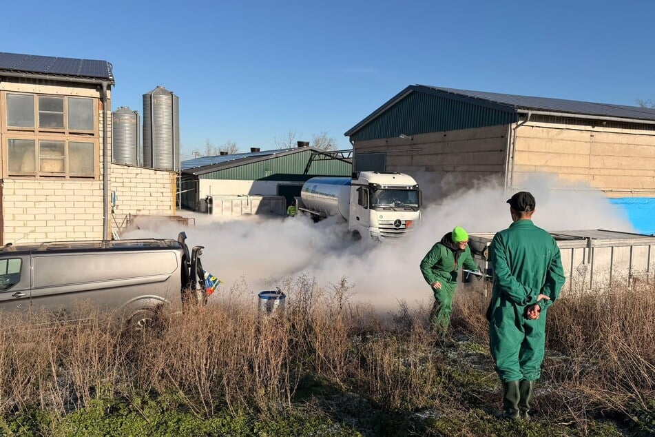In einer Woche 1100 tote Puten: Wieso sterben so viele Vögel im Harz?