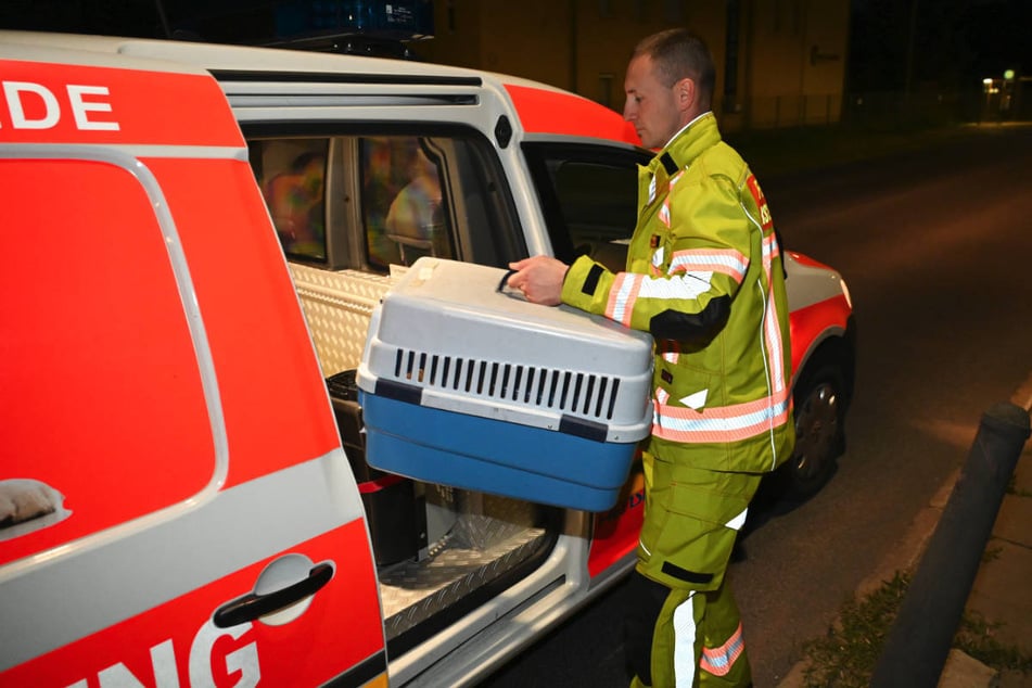 Die Feuerwehr hat die Jungtiere behutsam eingefangen.