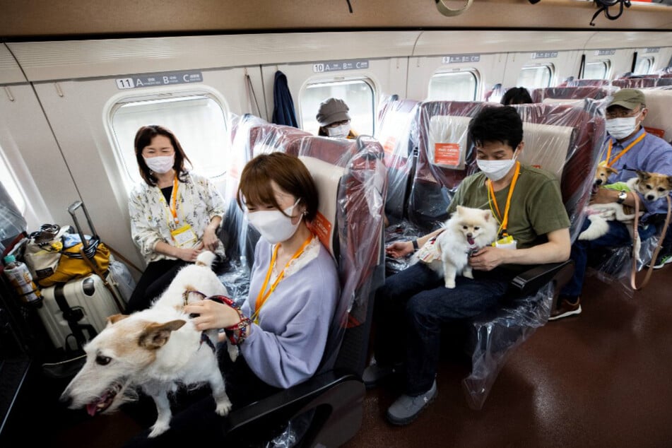 The dog owners were happy to travel with their furry companions.