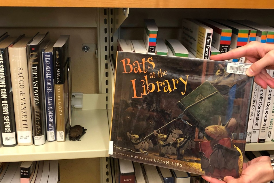 Die Mitarbeiter der Bibliothek machten ein Bild von der Fledermaus mit dem Buch "Bats at the Library" (deutsch: Fledermäuse in der Bibliothek).