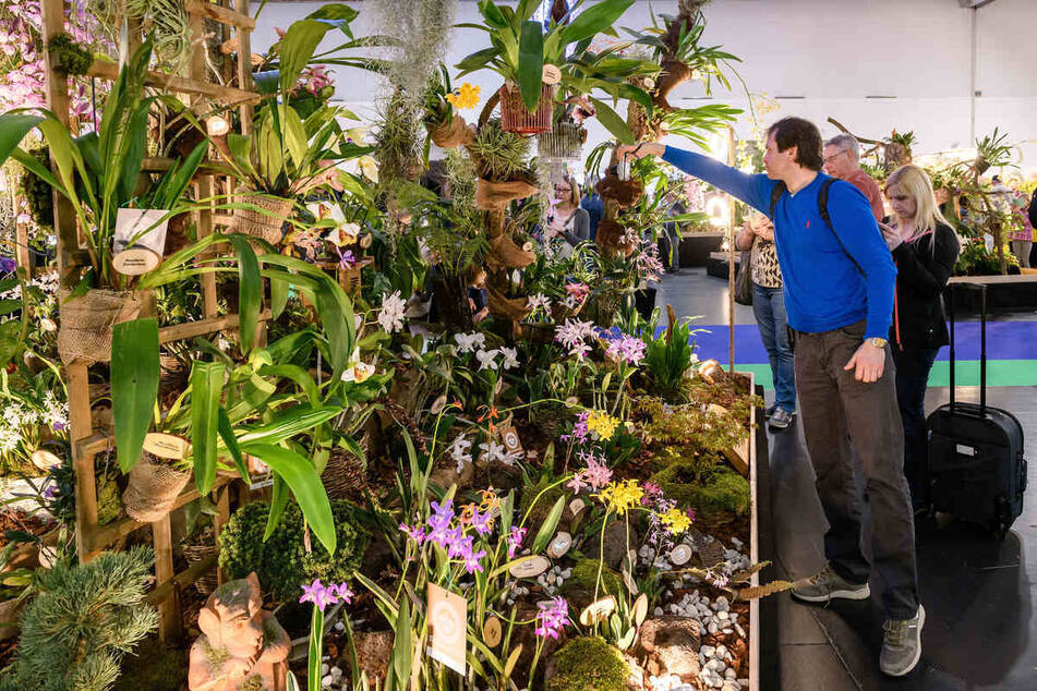 V rámci "Noci orchidejí" můžete obdivovat nádherné rostliny v klidu a v jedinečné atmosféře.
