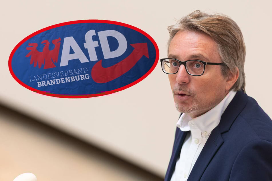 BSW-Streit in Brandenburg könnte AfD in die Hände spielen