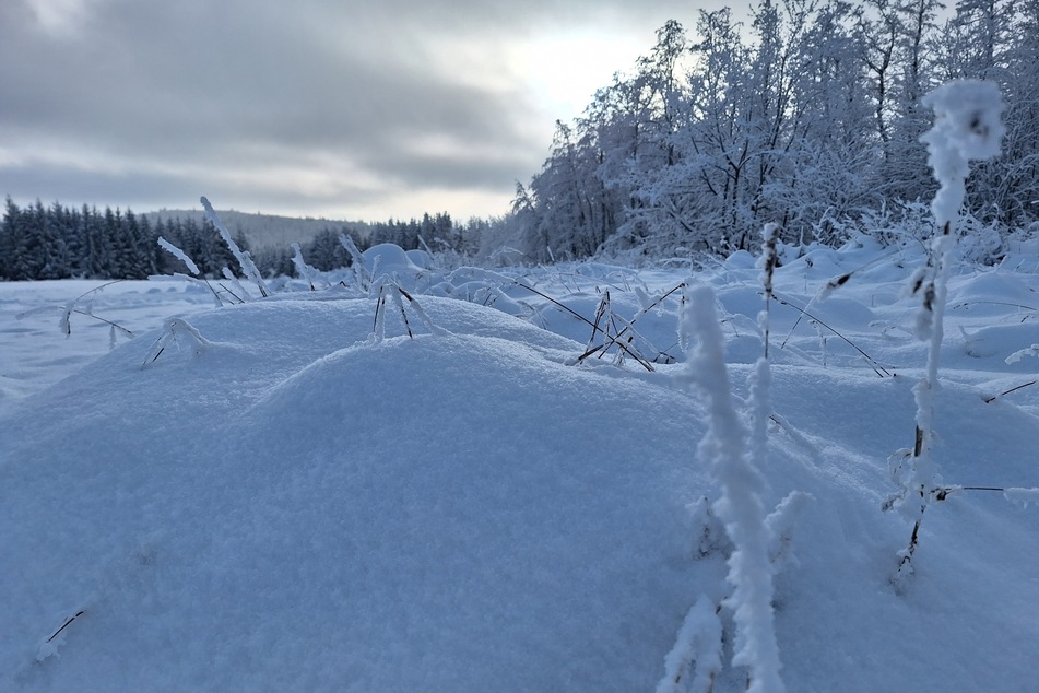 Im hohen Thüringer Wald und den dazugehörigen Staulagen können bis zu 20 Zentimeter Neuschnee hinzukommen. (Symbolbild)