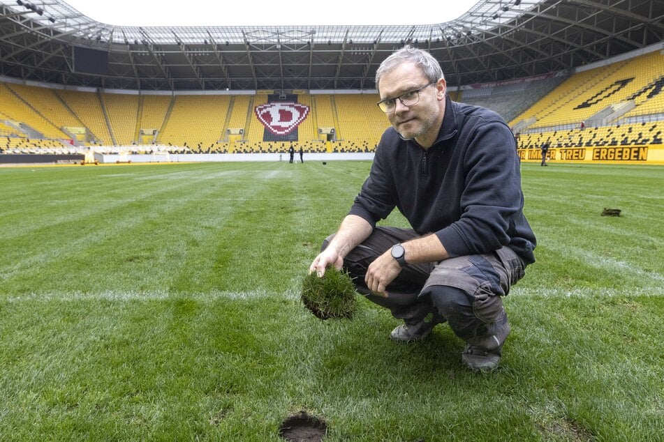 Die Greenkeeper haben unter anderem zahlreiche Belüftungsstopfen gesetzt.