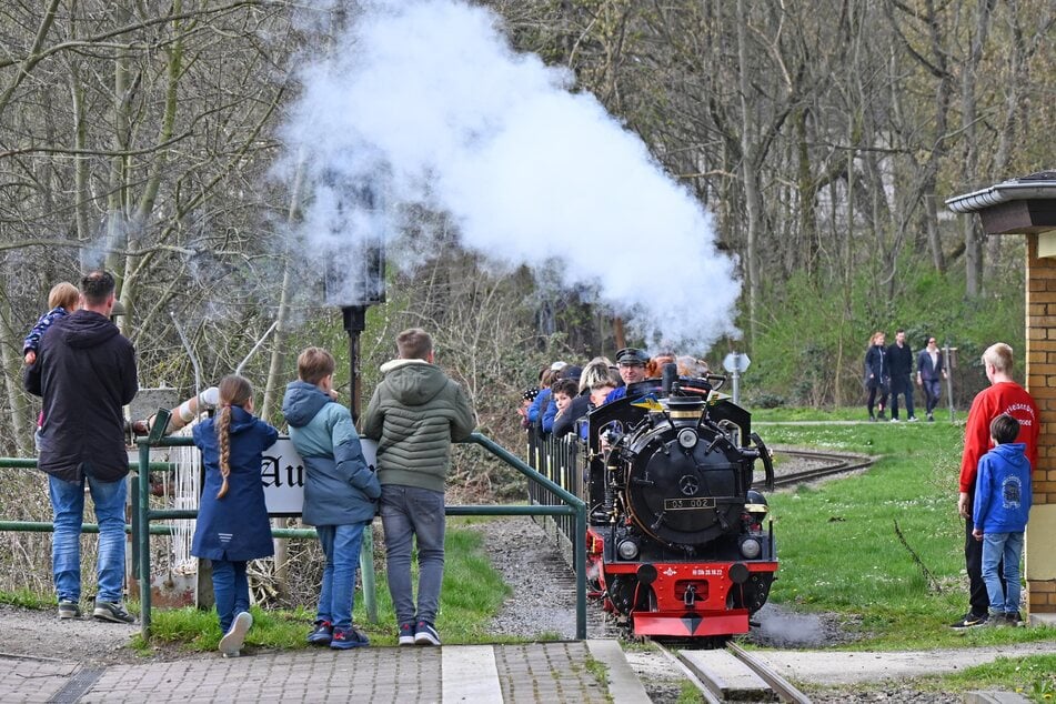 Nach einigen Reparaturen und auf neuen Schwellen soll die Parkeisenbahn bald wieder um den Auensee dampfen. (Archiv)