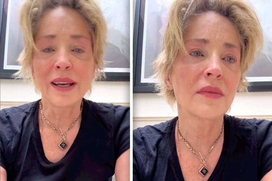 Sharon Stone (64) ließ ihre Fans auf Instagram wissen, dass sie vor Kurzem ihren kleinen Bruder verloren hat.