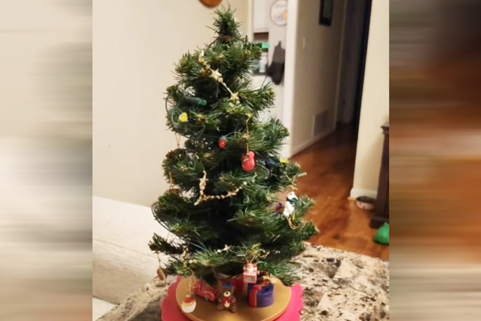 Klein und harmlos sieht dieser Weihnachtsbaum aus. Doch er hat es in sich.