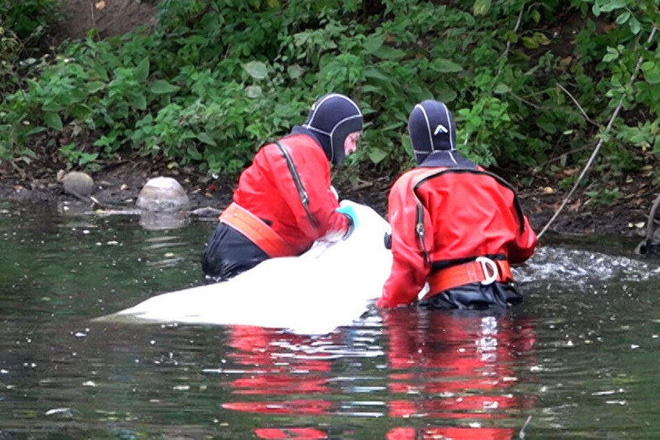 Feuerwehrtaucher bargen den männlichen Leichnam aus dem Wasser.