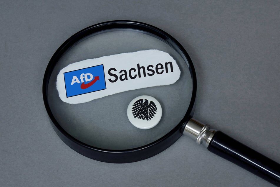 Unter Beobachtung: die AfD - je beliebter sie beim Wähler wird, desto lauter werden in der Politik die Rufe nach einem Verbot. (Symbolfoto)