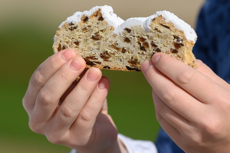 Johanna Meitzner, das 26. Dresdner Stollenmädchen, hält bei ihrer Vorstellung im Schlosspark Pillnitz ein Stück Christstollen in den Händen.