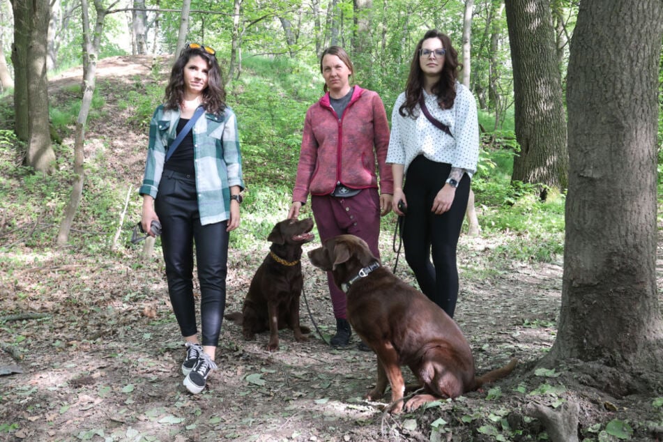 Täglich durchqueren Anwohner mit ihren Hunden das nur 5 Minuten entfernte "Russen-Gelände".