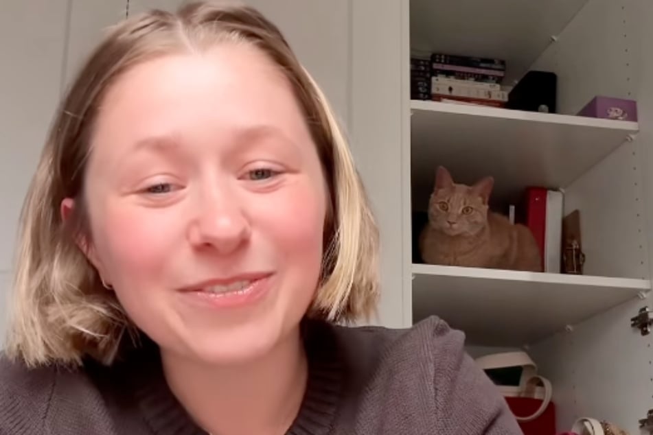 Hallie Walker schildert in einem Video die verrückte Situation rund um ihren Kater und einem neuen Ikea-Schrank.
