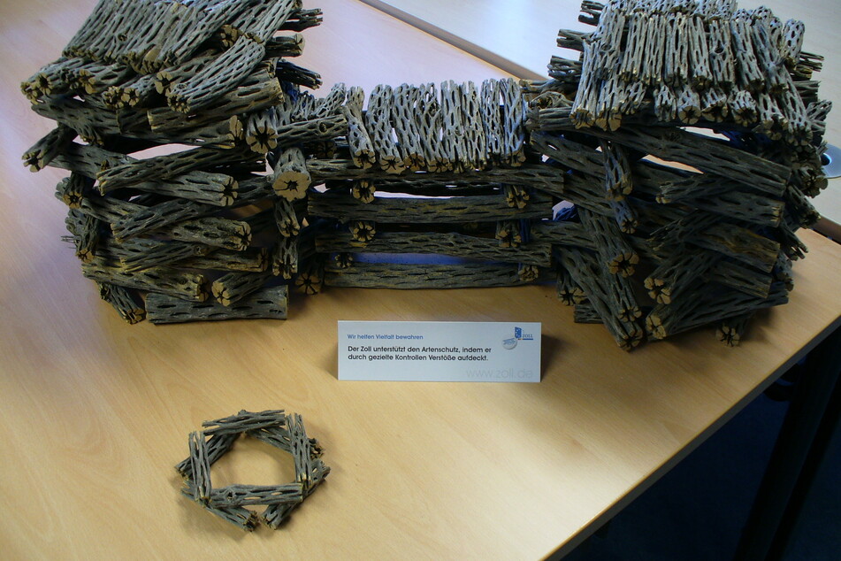 Das sichergestellte Holz der Cholla-Kaktee beim Zoll.