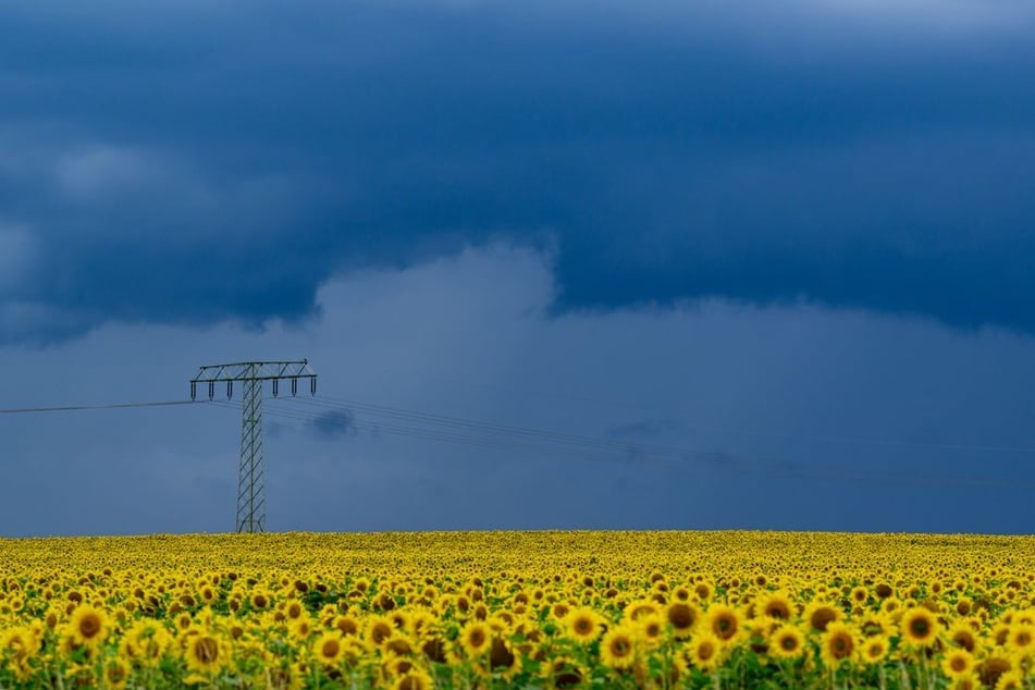 Am Freitag und Sonntag können Gewitter aufziehen. (Symbolbild)