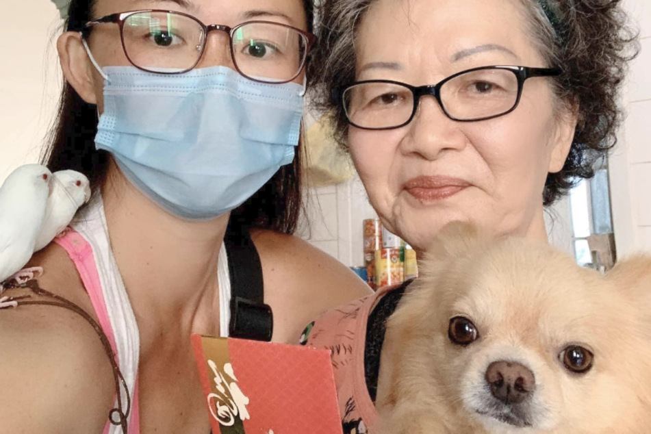 Laut Rachel Liaw hat der kleine Chihuahua kein Problem mit der ungewöhnlichen Kopfbedeckung.