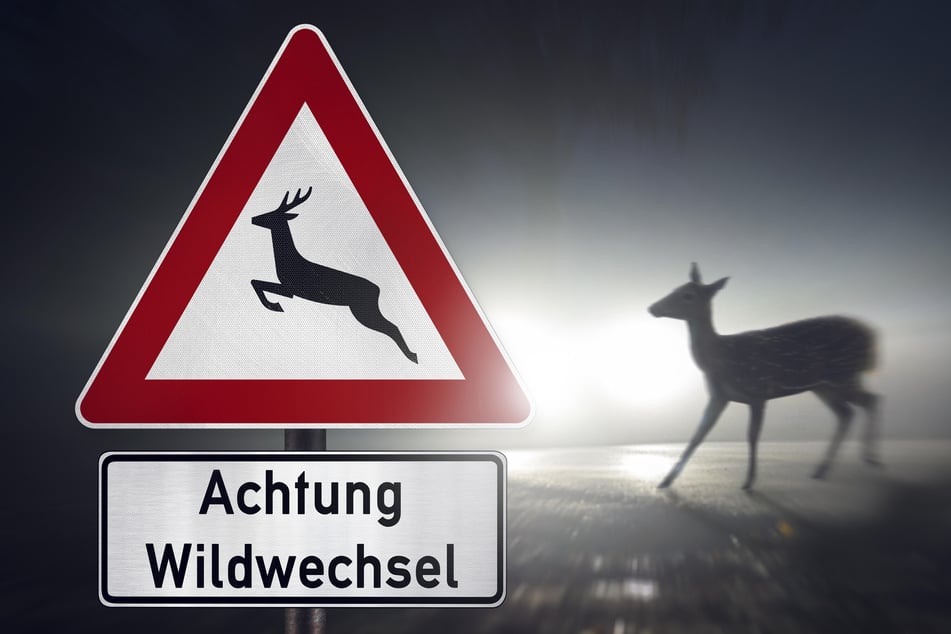 Zwickauer Polizei warnt: Mit der Zeitumstellung kracht's wieder öfter!