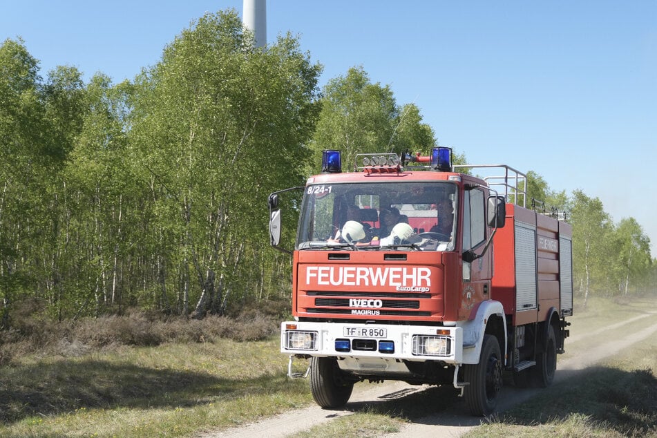 In Hamburg sorgt die Hitze für eine erhöhte Waldbrandgefahr. (Symbolbild)