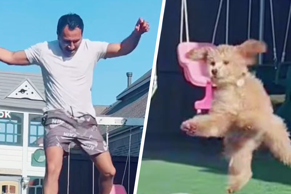 The dog's owner goes flying on a trampoline, and his dog joins him!