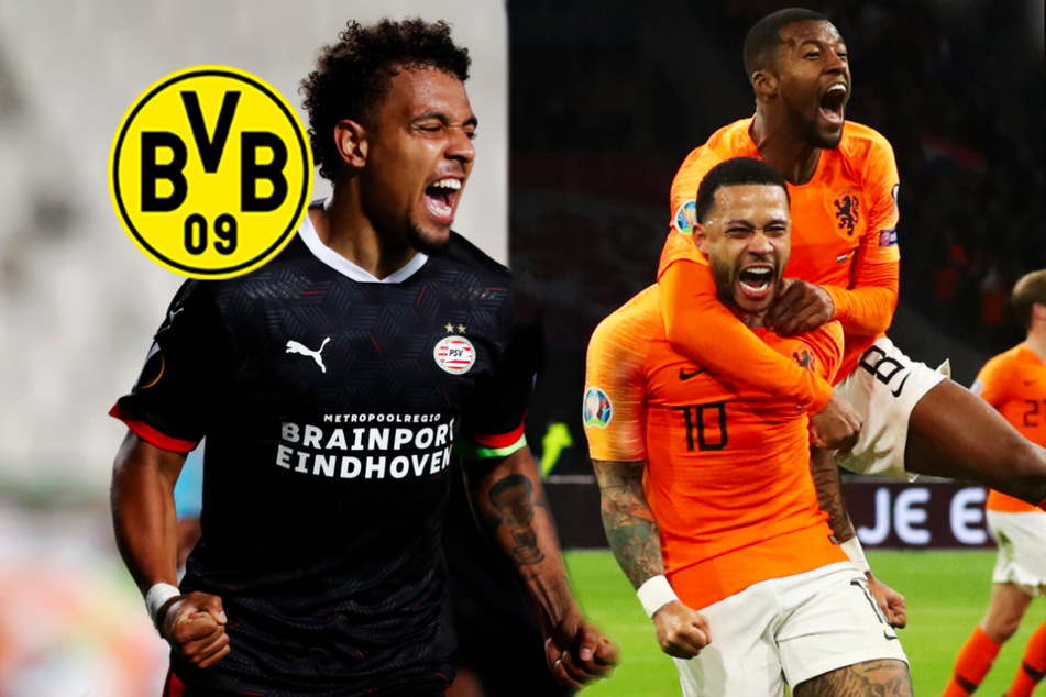 BVB vor Sommer-Transferkracher? Dortmund an zwei niederländischen Stars dran!