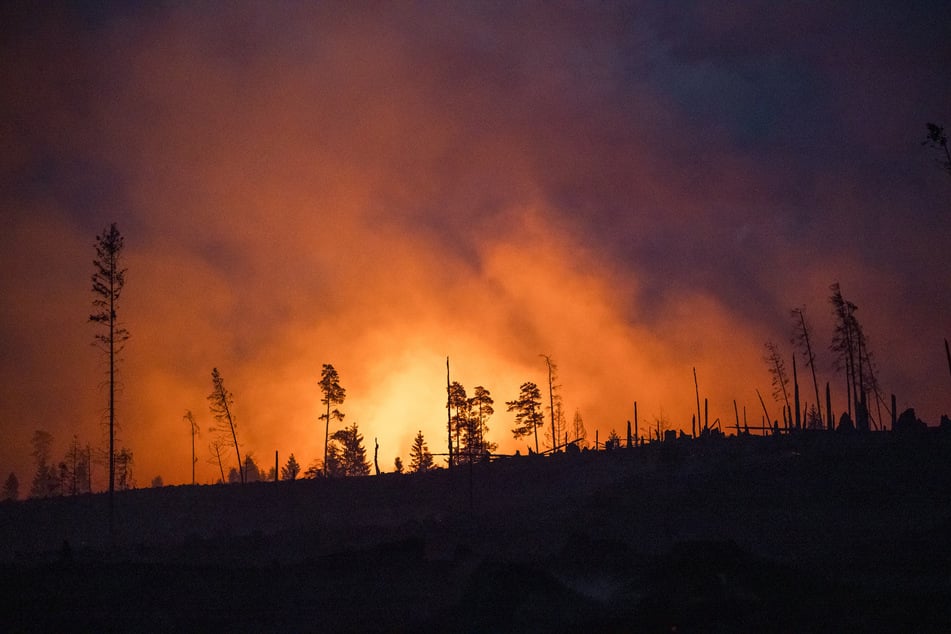 Wegen des Waldbrands im Landkreis Saalfeld-Rudolstadt wurde Katastrophenalarm ausgelöst.