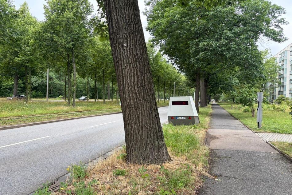 Auf einem Grünstreifen an der Stübelallee hat ein Dresdner Superblitzer wieder seine Stellung bezogen.