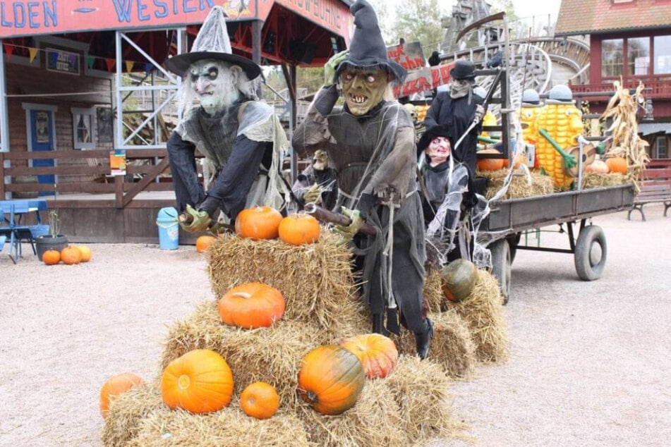 Auch in diesem Jahr findet im Freizeitpark die legendäre Halloween-Zone 22 statt. (Archivfoto)