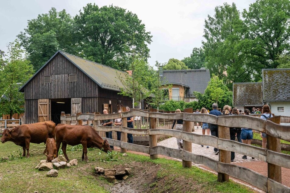Der Tierpark ist samt Wildgatter und Erlebnisbauernhof (im Bild) die größte Freizeiteinrichtung der Stadt.