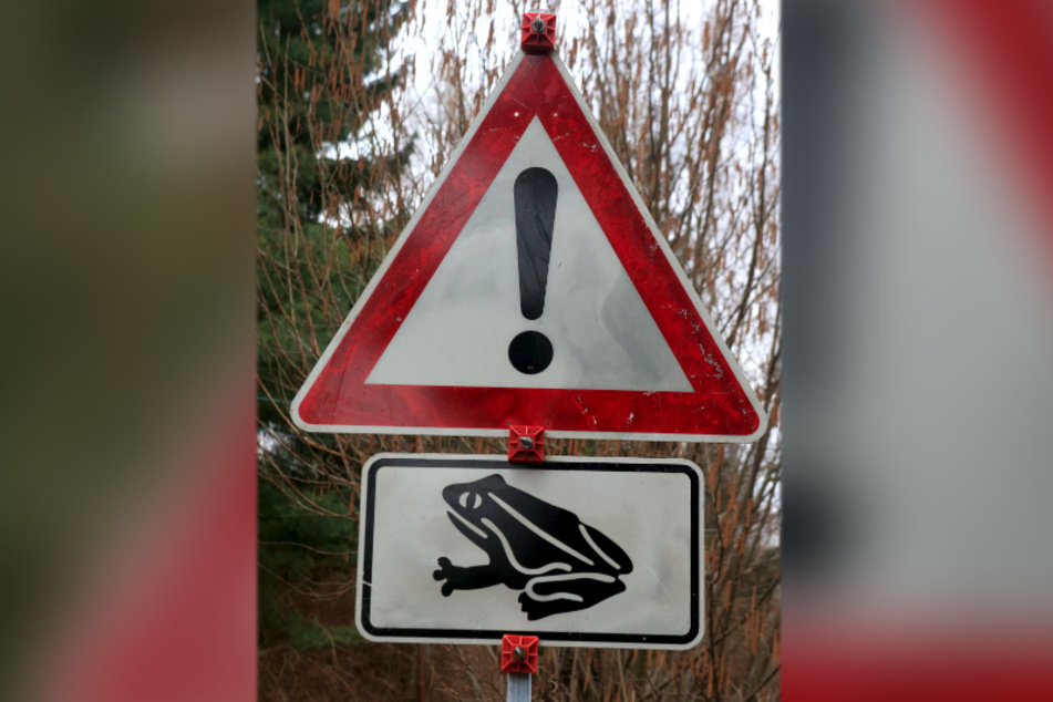 Warnschilder sollen die Kröten schützen, leider hopsen immer weniger zum Teich.