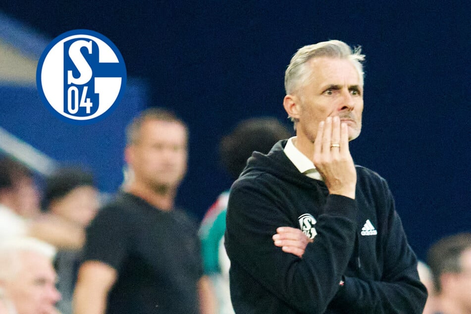Blitz-Aus für van Wonderen: Schalke schmeißt Trainer sofort raus