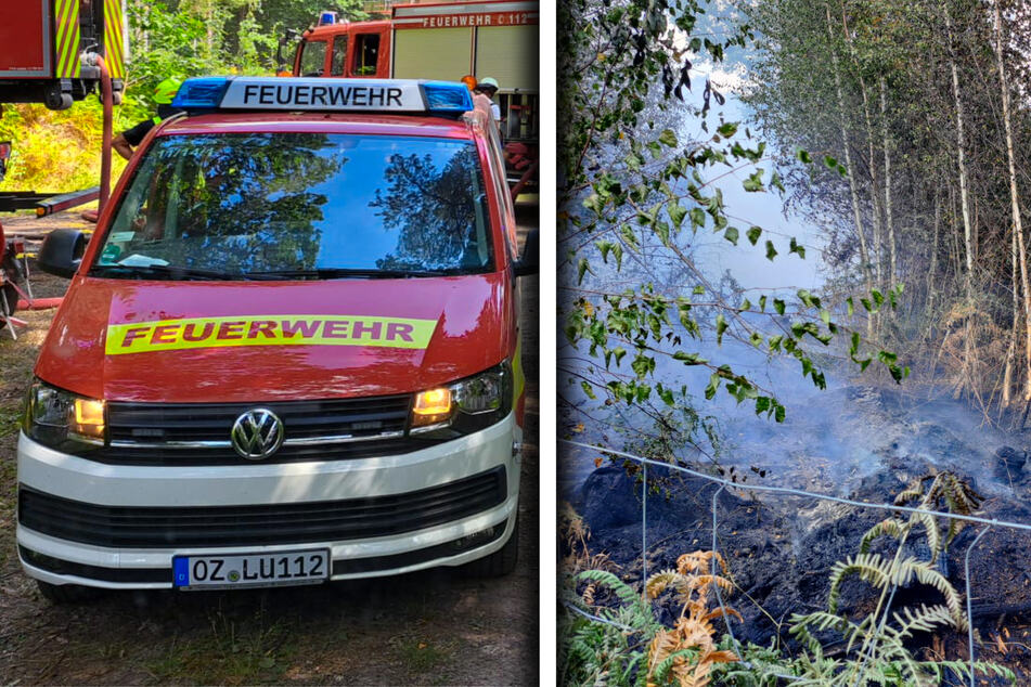 Alarm im Wermsdorfer Wald: Brand hält Feuerwehren stundenlang in Atem