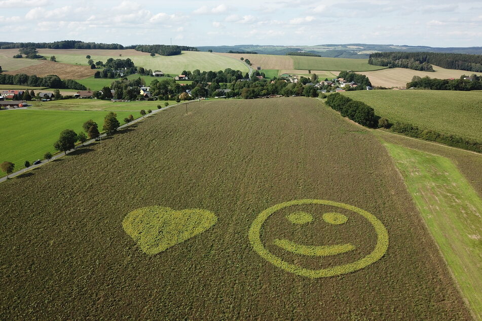 Vor allem aus der Luft sind die beiden Symbole gut zu erkennen.