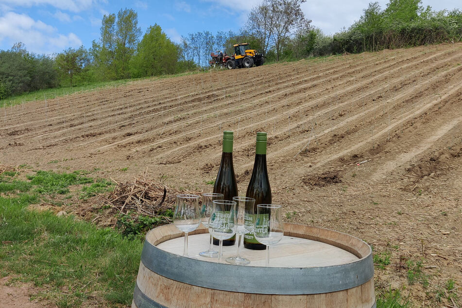 Am Ufer des Badesees fiel am nun der offizielle Startschuss für Weinanbau.