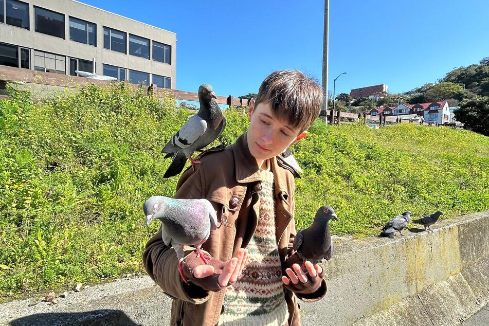 Moe Hawk je naprosto zblázněný do ptáků.