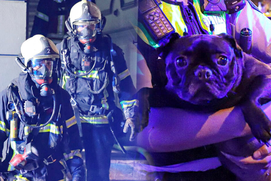 Feuerwehr rettet Menschen und süßen Hund