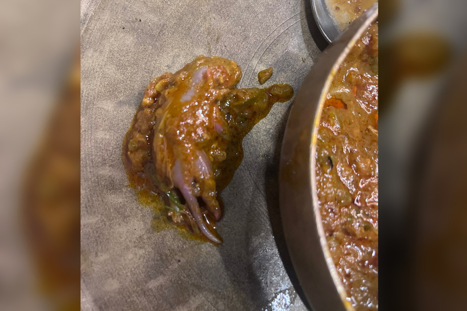 Dieses merkwürdige Stück Fleisch fand der schockierte Gast in seinem Curry.