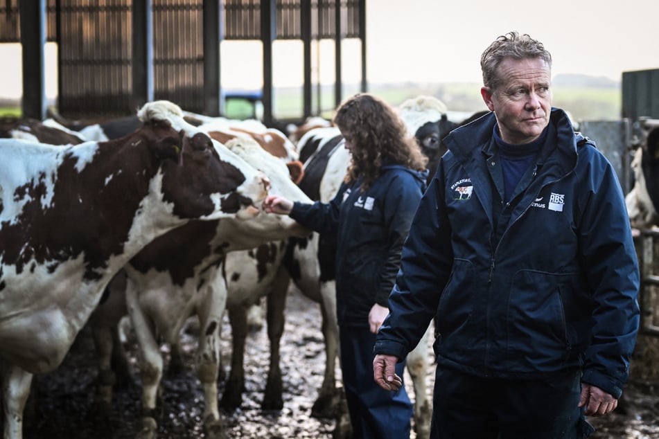 Deutsche Milchbauern befürchten einen starken Preisverfall und damit einhergehende Milliardenverluste.
