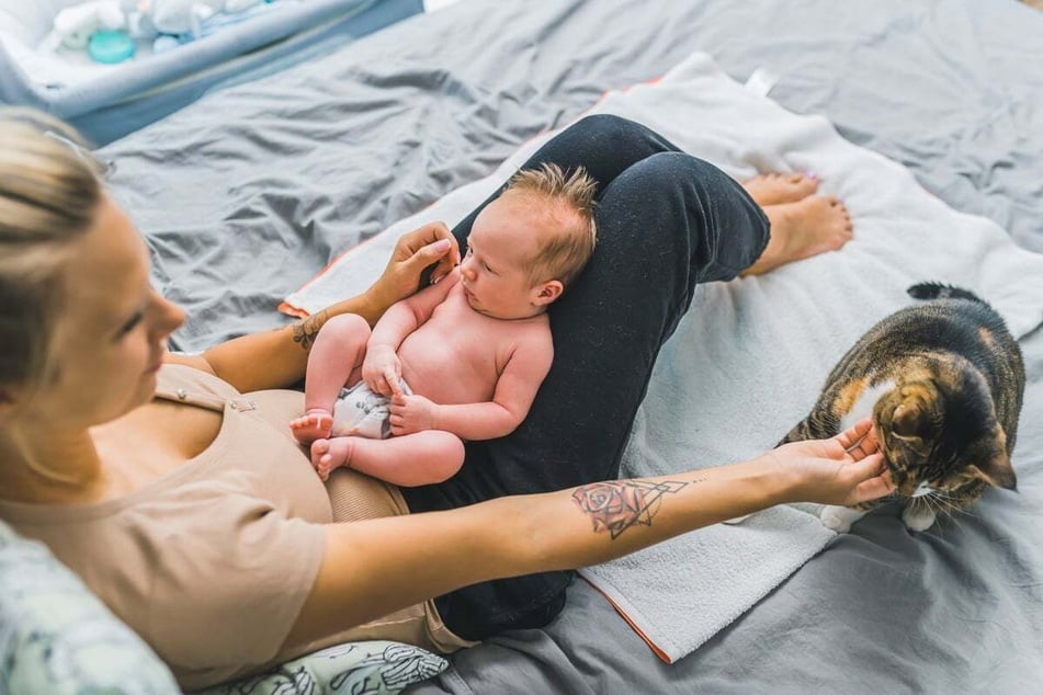 Man sollte einer Katze zeigen, dass sie trotz des neuen Familienmitgliedes wichtig ist.