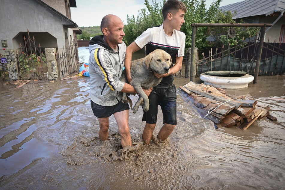 Dorfbewohner im Südosten Rumäniens mussten sich, ihre Tiere sowie ihr Hab und Gut aus den Wassermassen retten.