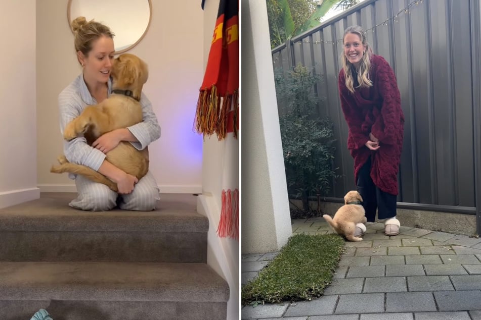 Alfie hat auch nach knapp drei Monaten in seinem neuen Zuhause noch immer Angst vor den Treppenstufen. Im Garten musste er auch erst einmal lernen, was er dort machen soll.